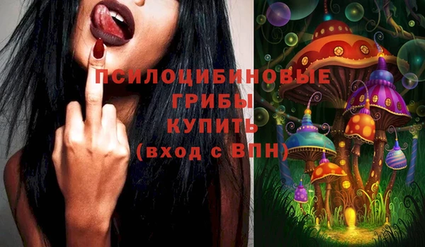 МДПВ Алексеевка