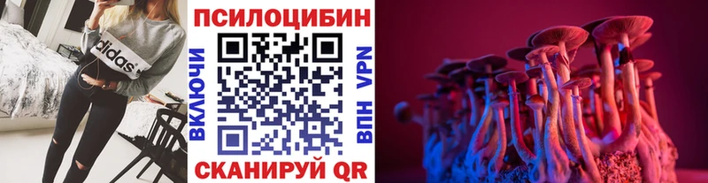 Галлюциногенные грибы Cubensis  Цоци-Юрт 
